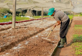 pexels l c liil 2159162677 35834138