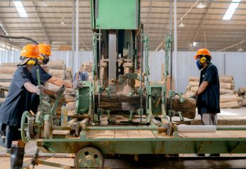 pexels mandiri abadi 396768996 15016528