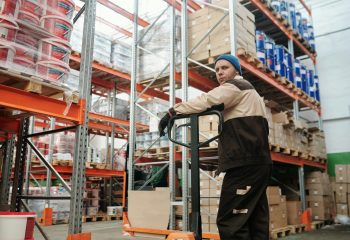 pexels tiger lily 4487382